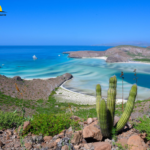 Descubre las joyas ocultas en las inmediaciones de las mejores playas de La Paz, B.C.S.